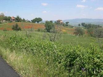 Italy Countryside By Paul Di Gangi Desktop Wallpaper