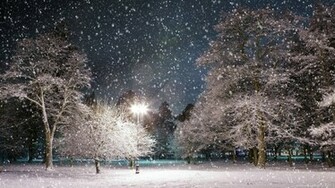 Nature Winter Wallpaper Season Snow