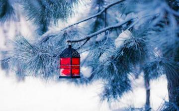Wallpaper Winter Photo Picture Lantern Spruce