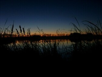Desktop HD Waterfowl Hunting Wallpaper 3d Pictures