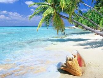 HD Wallpaper Tropical Beach Shell Background