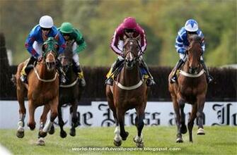 Beautiful Wallpaper Racing Horse