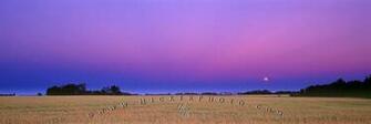 Panorama Scenic Prairie Wheat Field Moon Saskatchewan Photo