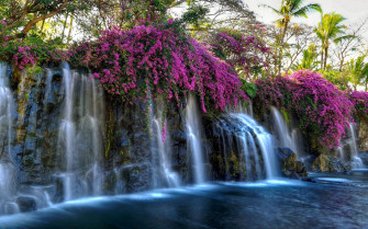 Beautiful Waterfall Wallpaper