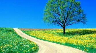 Spring Road Wallpaper