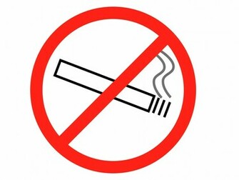 No Smoking Ppt Template Background Templates