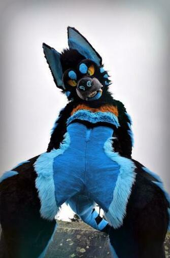Psy The Maned Wolfboy On New Phone Background