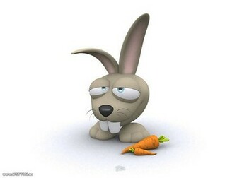Funny Wallpaper HD Desktop Very