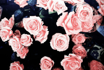 Girly Desktop Wallpaper