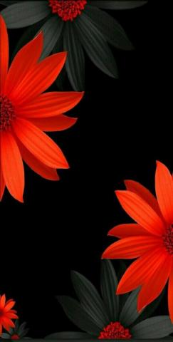Sparkle Wallpaper Ideas iPhone Phone