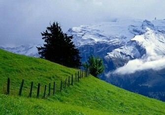 Natural HD Wallpaper 1080p Widescreen For Desktop