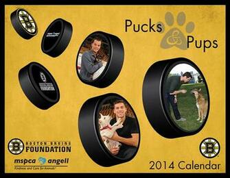 Boston Bruins Wallpaper Bergeron Logo