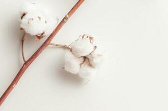 Cotton Background Digital Heat Fx