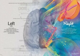 Brain Artwork Creative Side Of The