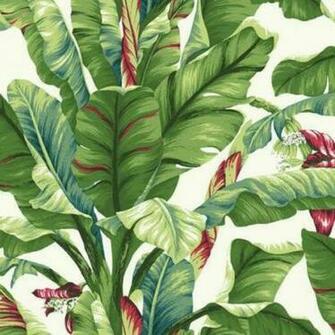 Banana Leaf At7068