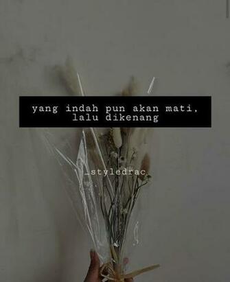 Pin Di Wallpaper