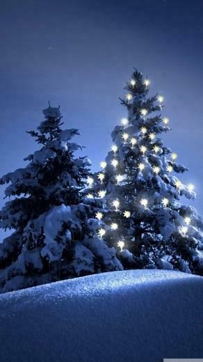 Snow Christmas Tree Winter iPhone Wallpaper