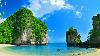 Pics Photos Wallpaper Sunny Tree Beach Sand Palm Ocean