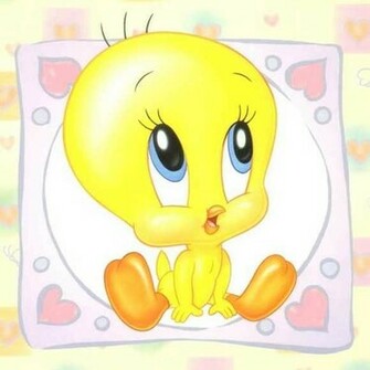 Tweety Bird Photo Hq Wallpaper