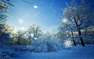 Snow Day 3d Live Wallpaper For Android Apk