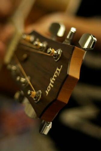 Taylor Guitar Jpg