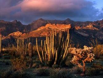 Nature Monument Valley Arizona Picture Nr