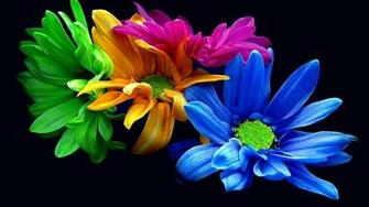 Theme Digital Art 3d Photoshop