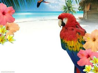 Background Design Fresh