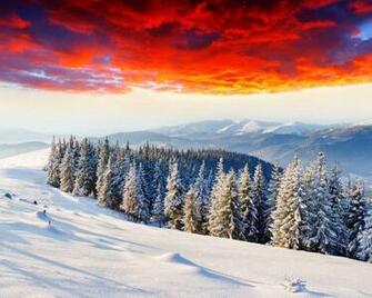 Nice Winter Wallpaper