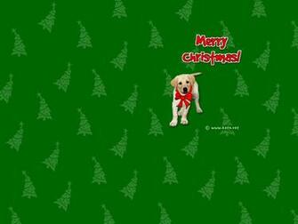 Wallpaper Featuring My Dog Sam Photo Kate Net Created