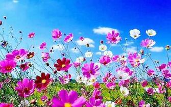 Spring Day Image Reverse Search