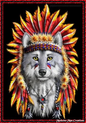 Indian Wolf