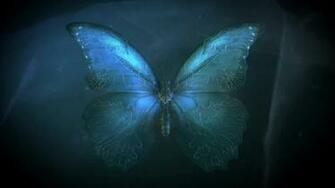 Butterfly Effect Wallpaper Image Collections Of