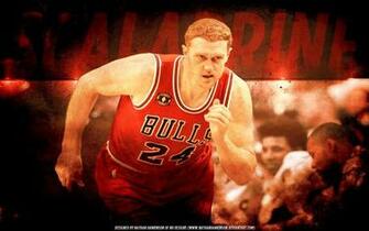 Brian Scalabrine Bulls Wallpaper Basketball