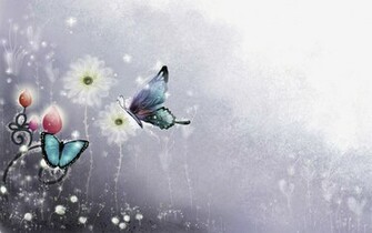 Colorful Butterfly HD Wallpaper Real Artistic