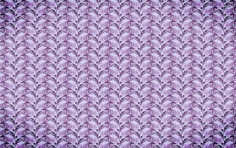 Purple Swirl Pattern Wallpaper