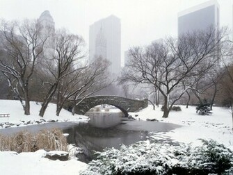 Winter Wallpaper Background Funny Pictures