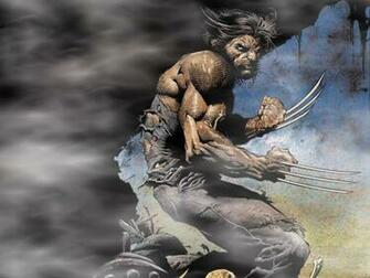 Wolverine Fog HD Wallpaper