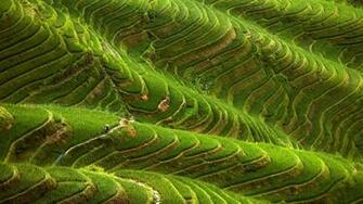 Wonders Of The World HD