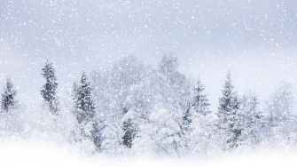 Pure White Wallpaper