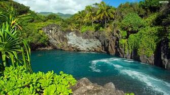 Tropical Landscape Wallpaper