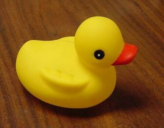 Rubber Ducky Wallpaper