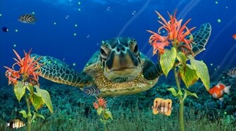 Wonderful Tropical Fish In The Ocean Aquarium 3d Screensaver