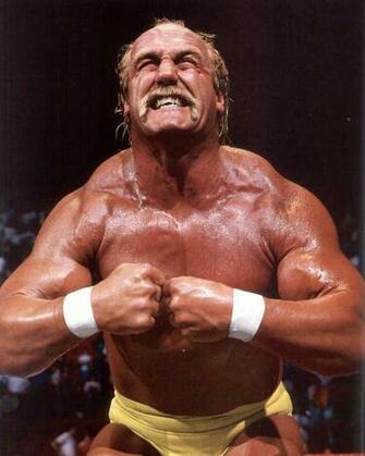Hulk Hogan Wallpaper By Megan Farr On Fl Celebrities HDq Kb
