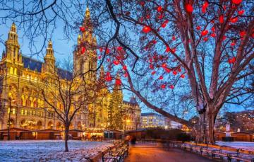 Wallpaper Winter Snow Trees The City Lights Holiday Street