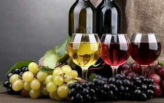 Winelovers