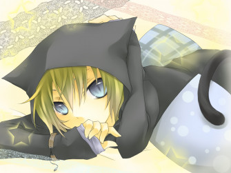All Male Animal Ears Blonde Hair Blue Eyes Catboy Hoodie Kagamine
