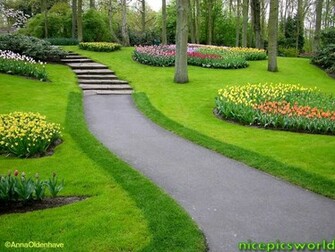 Pictures World Most Wonderful Wallpaper
