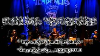 Suicidal Tendencies Thrash Metal Heavy Poster Concert H Wallpaper
