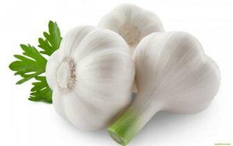 Garlic Background HD Image All White